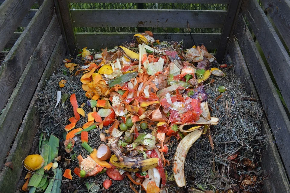 A compost bin filled with colorful, compostable organic waste